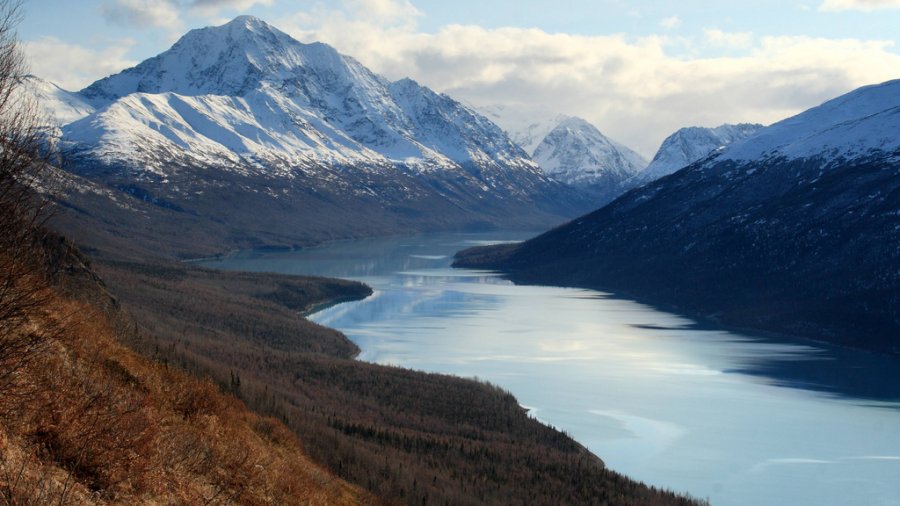 True Story: The Man Who Followed Love to Alaska