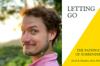 ‘Letting Go’ by David Hawkins: The Book That Shifted My Entire Reality